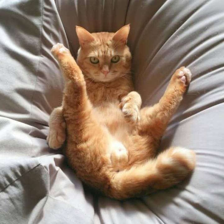 8470872e 6f33 474a 8533 4f914f1f3c93