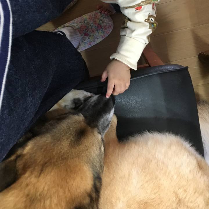 847097d8 8fb6 4de7 a27f 49eb9d810f15