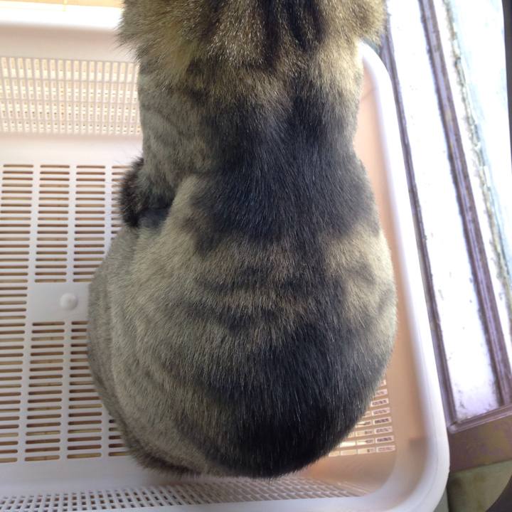 8470c301 2458 4bcd b1a7 12e8f2bc6721