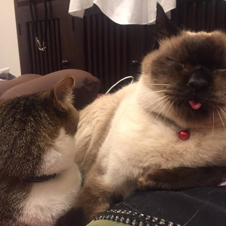 847155a6 815a 49cc bd34 3db9231b27bd