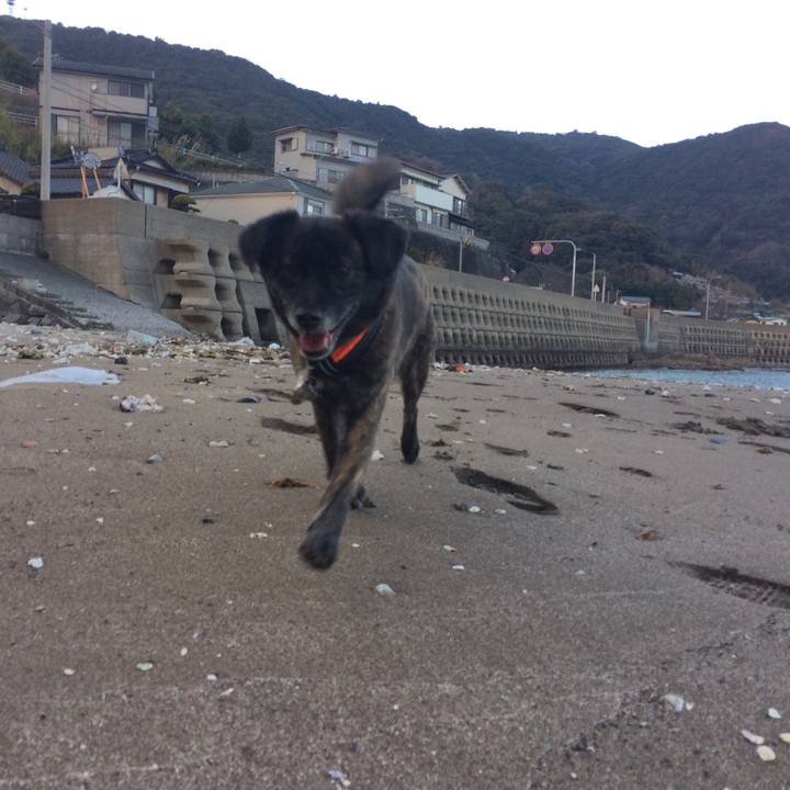 8471a963 08ae 4a99 b8e5 f93866c3cfc5