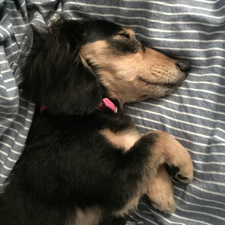 8471be6b dde5 4032 93ec 72f1f28d3b77