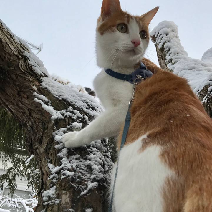 847261c3 dbf3 44fb b807 f0b298e27022