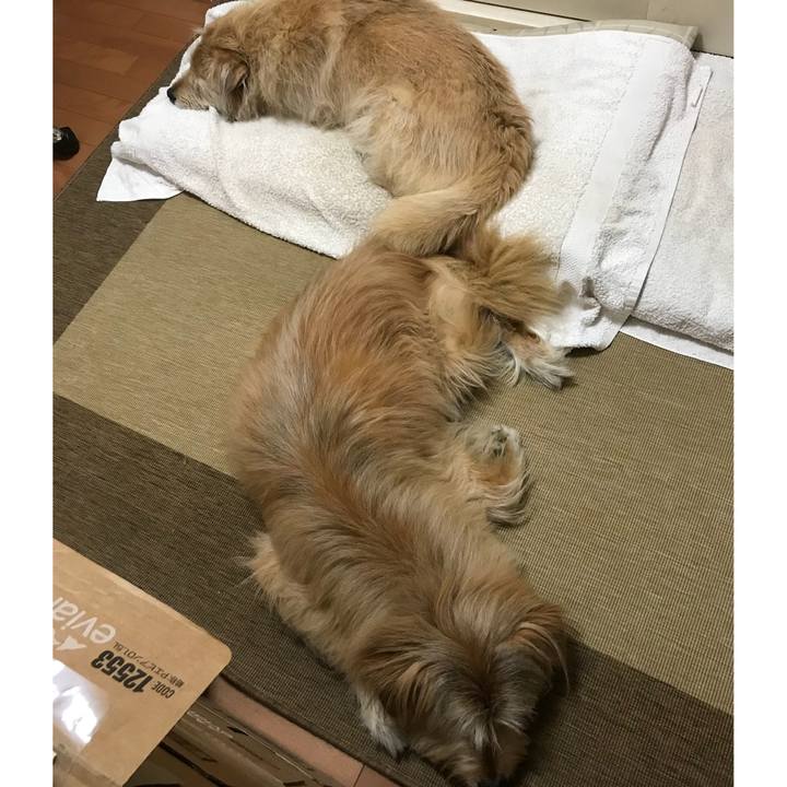 84731283 8359 4822 bcfa db20ec1f059d