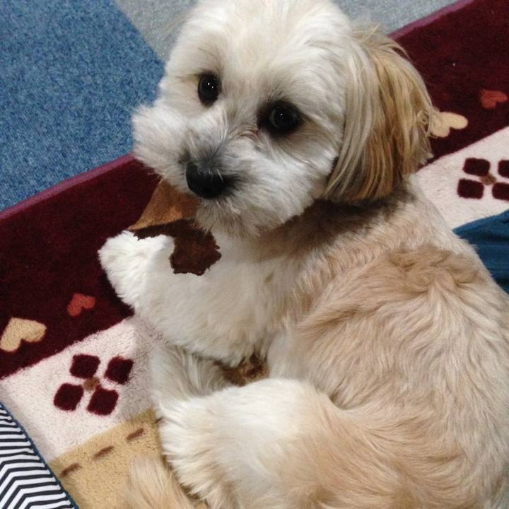 847385e4 f126 4e4b ab6e 78268ef48efb