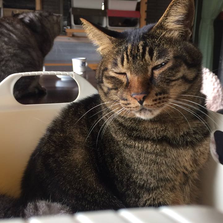 8473ef3b 6860 494c ab72 62c4b4bc8a2e