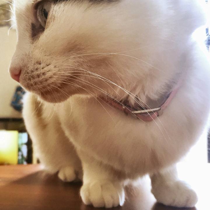 8473f312 cbf1 4d3d 813a afd255d0f484