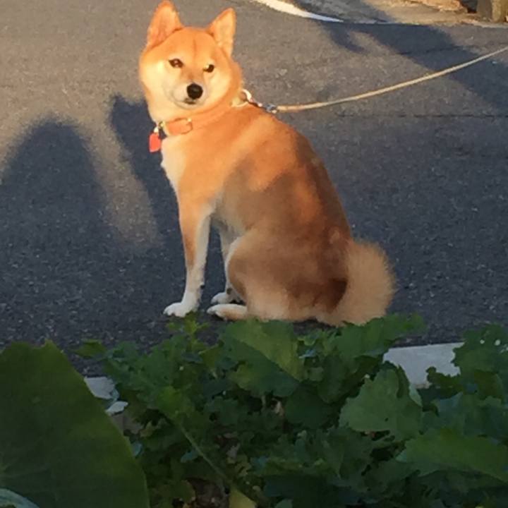 8474c3ab e0dd 4f17 9065 f2208a147833