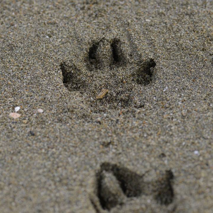 84753010 993d 4c72 b516 63d35a4cf674