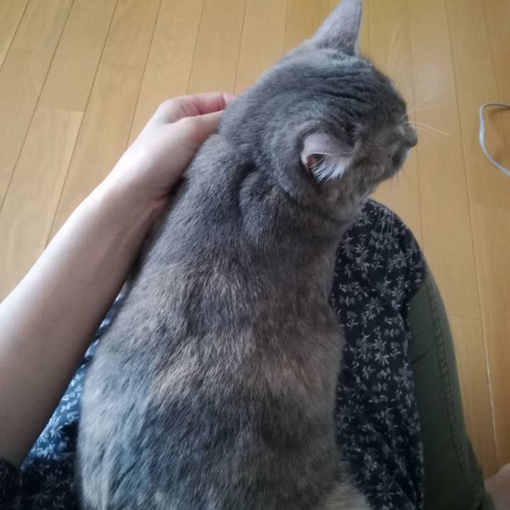 84760cd5 682f 464f 8d0a f7b7fe6e20de