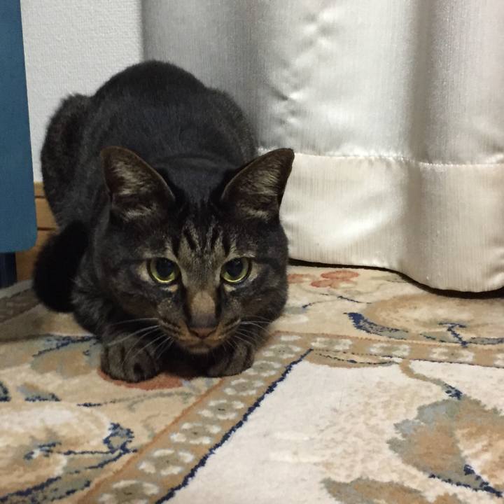 847615f4 5a8c 4e51 8ea5 933f7869e479