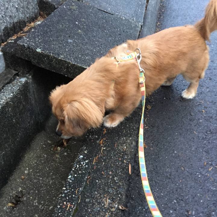 84763717 f8c4 4e4f 9c28 786b6b7160c7