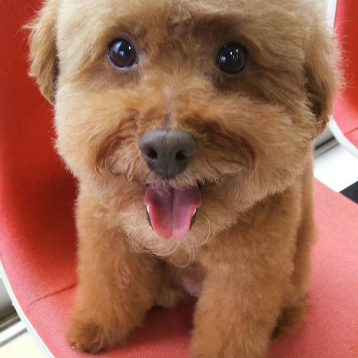 8476ccfa 3cf7 4fbd bddb f95f0bb475cc