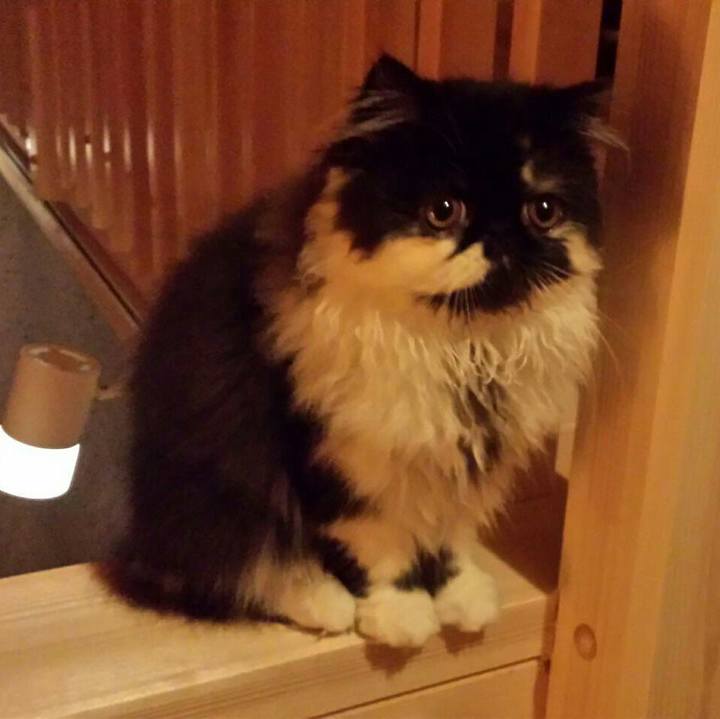 84771ec5 e259 41c9 b356 7da247f0727e