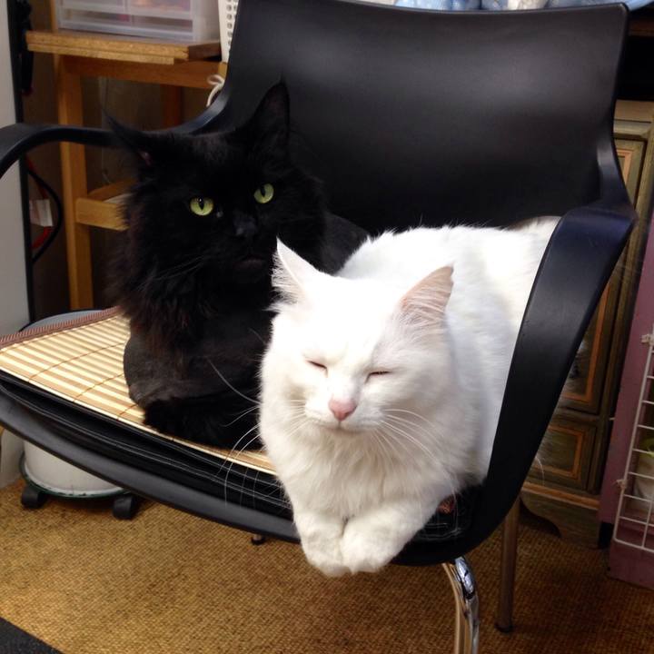 847732ec e13e 4534 a939 37fa679f1ceb