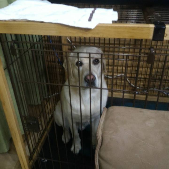 847744e3 4260 401c 9a62 01ea55495761