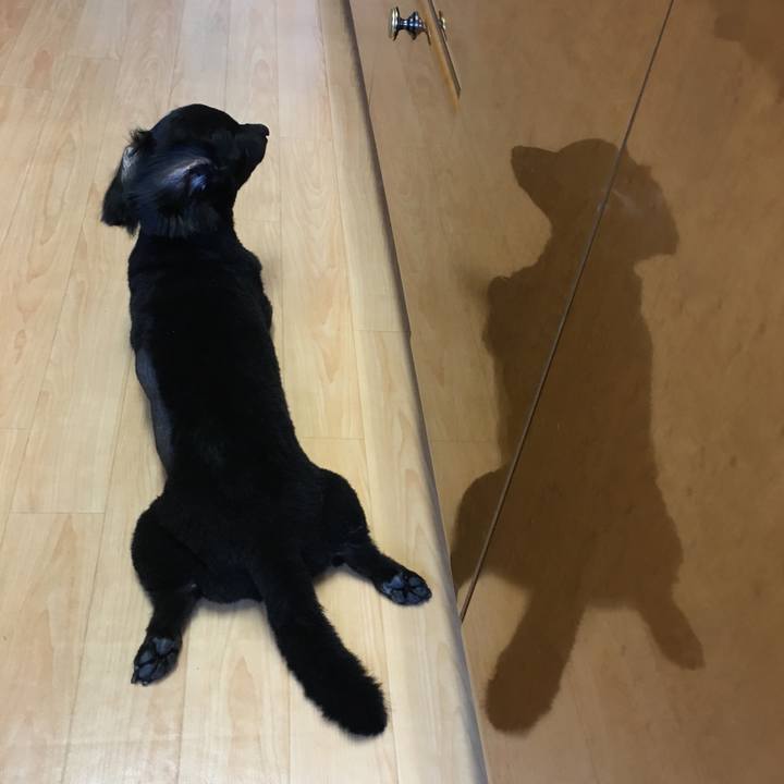 847759b9 7520 4c4d 845a dcfa07f2cc58