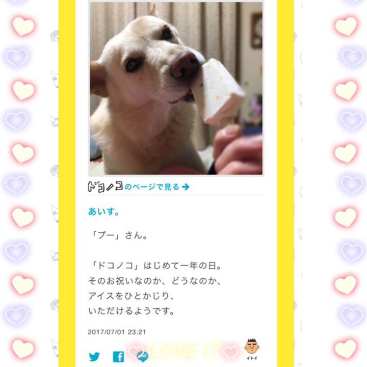 8477856a 33d5 4daa b165 8c04d99f7896