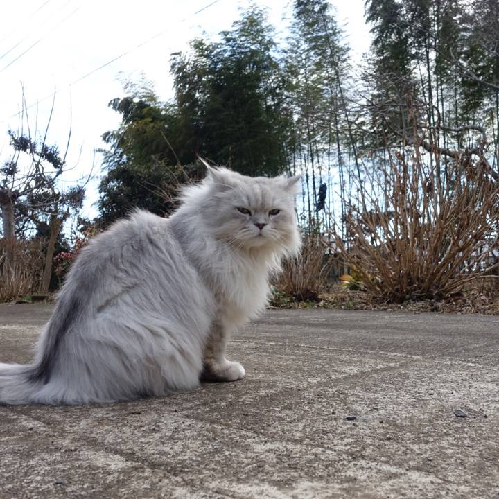 847818a3 31df 4873 ac92 a8e7935cdeb0