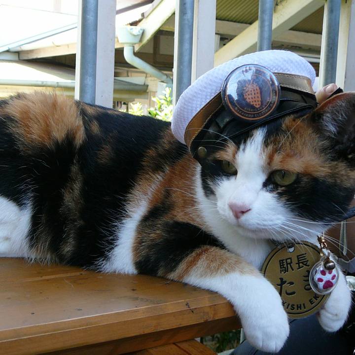 84781a35 f5b7 4965 b5b0 b614fd777bbd