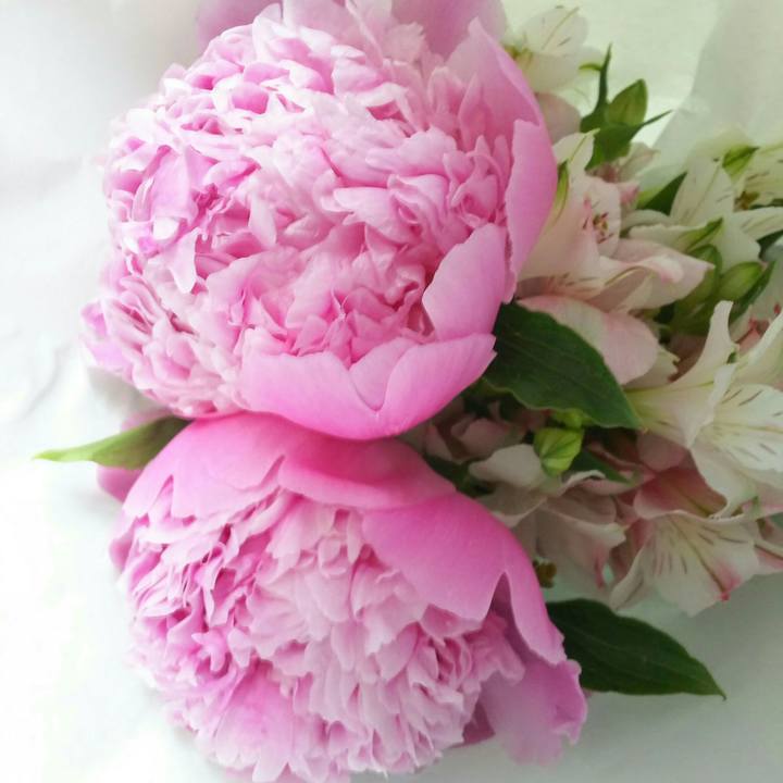 847857c3 d438 4d4d 8a5d fc077f84a3a4