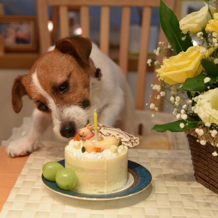 8478c3be 11bf 44f7 846f 2344f44a230f