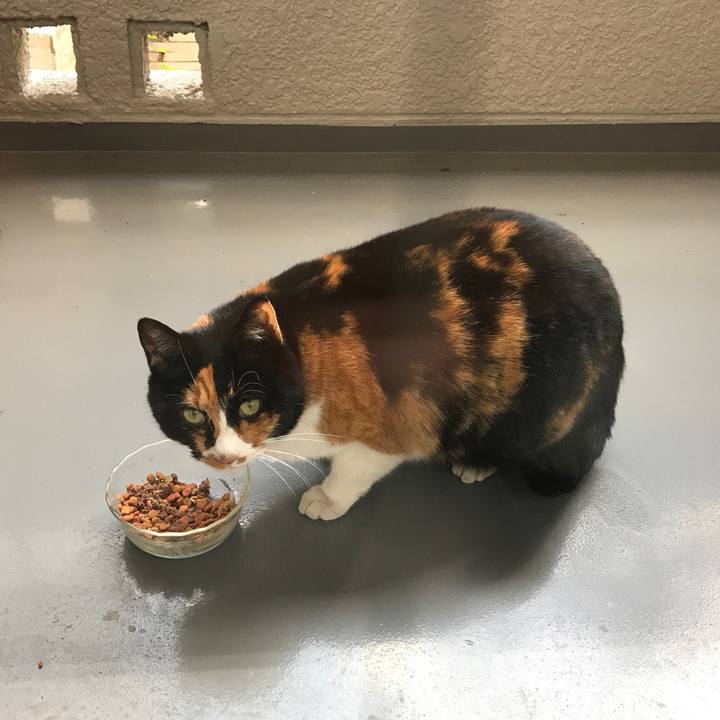 8478e350 0035 4fc4 9a30 af6334eb2993