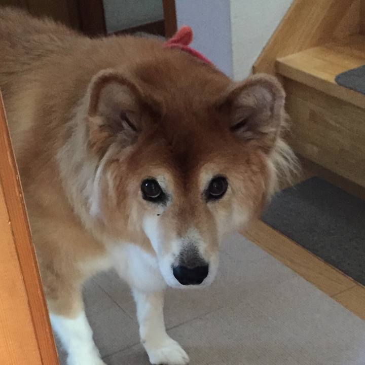 84794156 8e8d 459d a207 746720eb366d