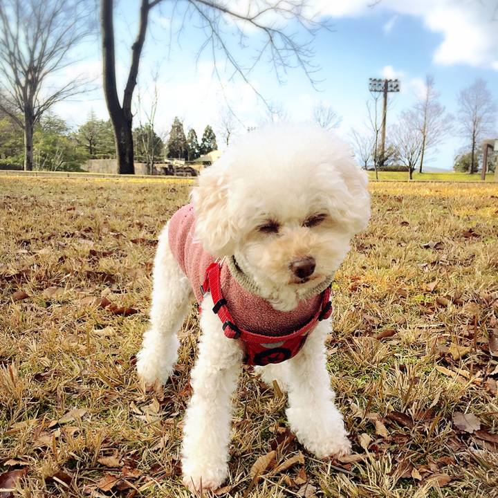 847a0e54 20bf 4067 b3ec f47c04a6fd40