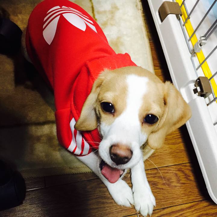 847a3a20 3789 4247 9d1d 16a56a26cf92