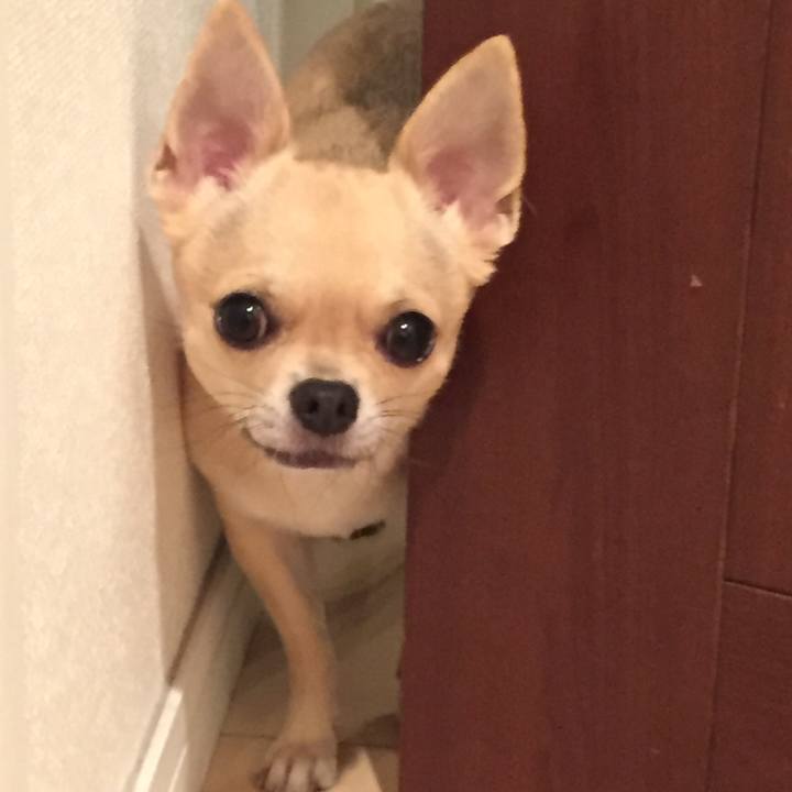 847a833f b6cc 4ec0 a2a7 d0747d0a1cb0