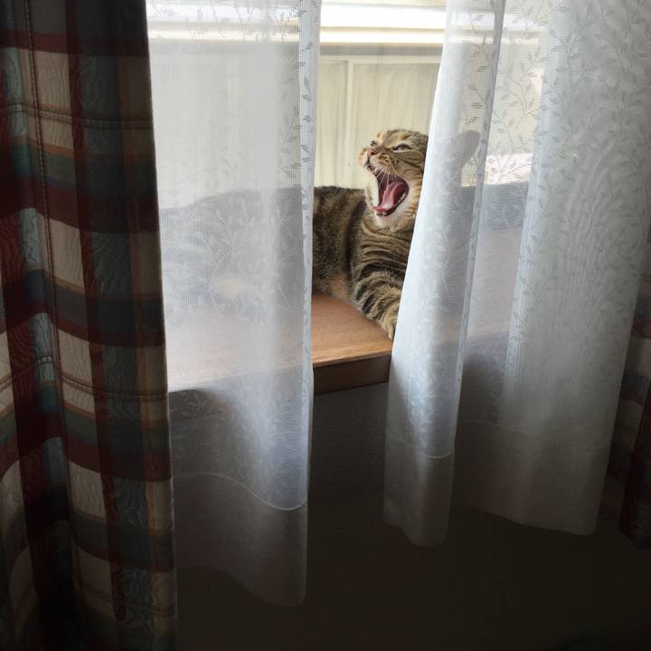 847ac93f 756e 48d5 9991 a3a551e4d086