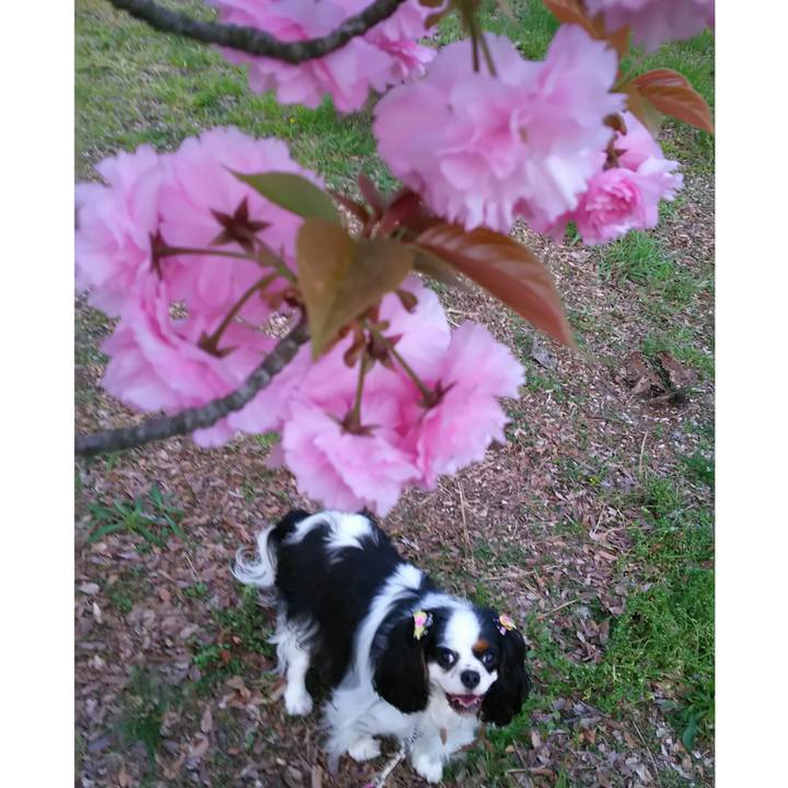 847af05b 2fc1 4513 9603 64b7f7f68aae