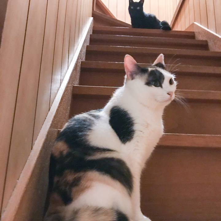 847b3fb8 e92a 4997 99f9 df7b89fe0aff