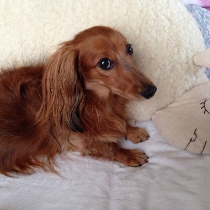 847b5112 b0ec 470c bded a068f9adaeac