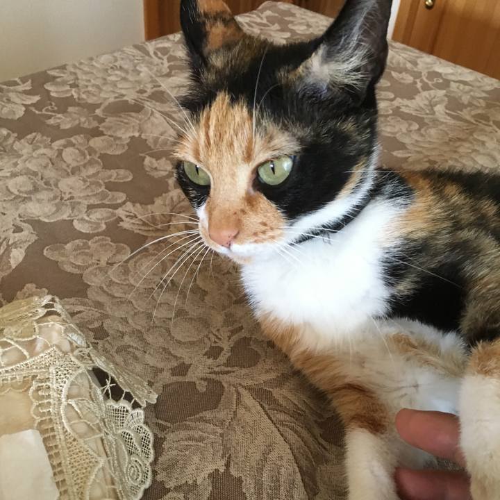 847b845d 0d45 4cb6 9b5c 84ea9f9e54dc