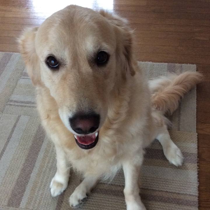 847bfc8a 16d9 4afa 98b8 5855028dca42