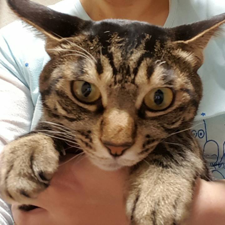 847cbedc 2852 426c 800f 446733824559