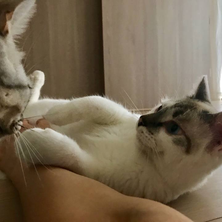 847cd601 714b 40d6 b8cb 604a2f38a294