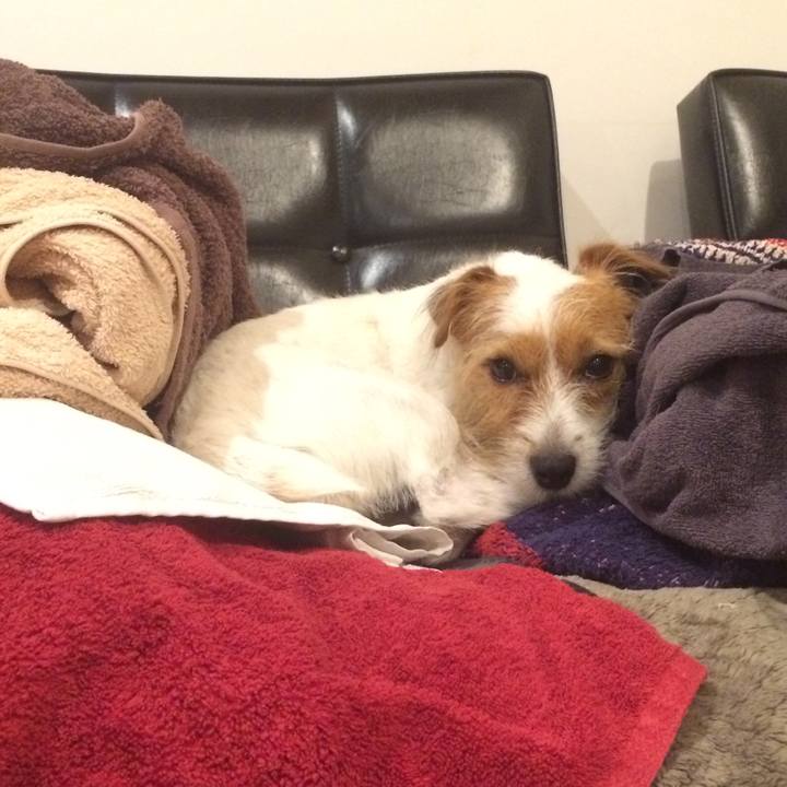 847d09fd d977 4448 9647 1914562ea3b7