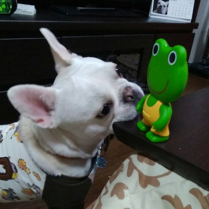 847d1b26 eb81 40e5 98e5 17a069b38c81