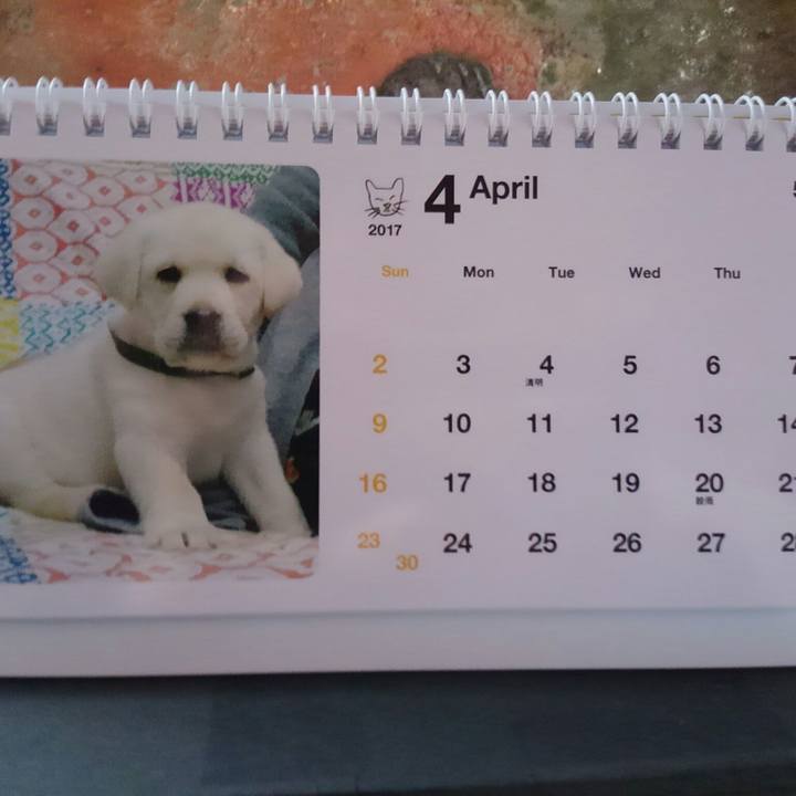 847d3bbb 0063 4f0c 90d1 9282016ab667