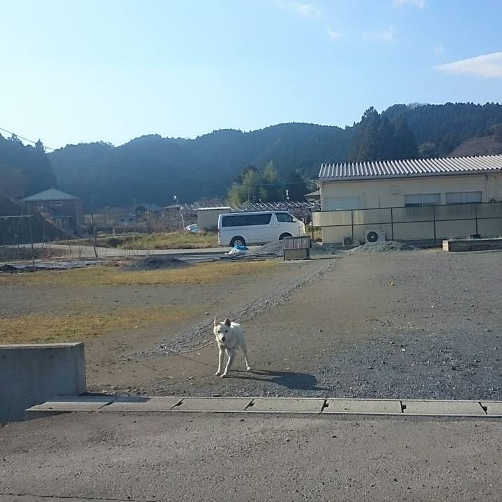 847dd6e1 2f8d 41fe 999d 23ec5b083b8a