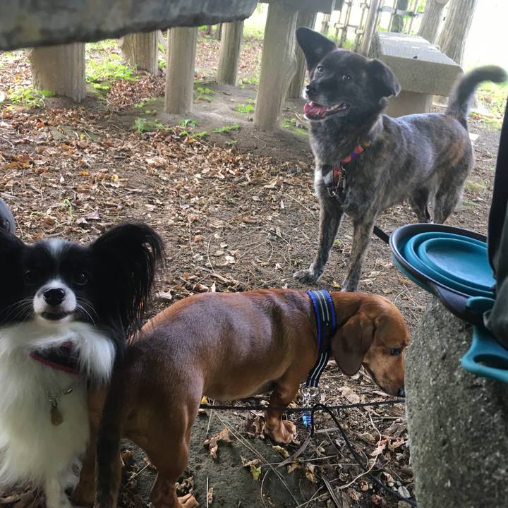 847f78d2 313e 442d aa33 bd5b9d316a6f