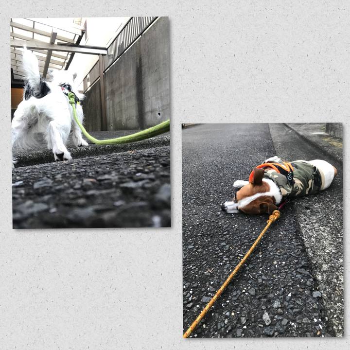 8480b331 9e74 4698 961a 4410cc061c71