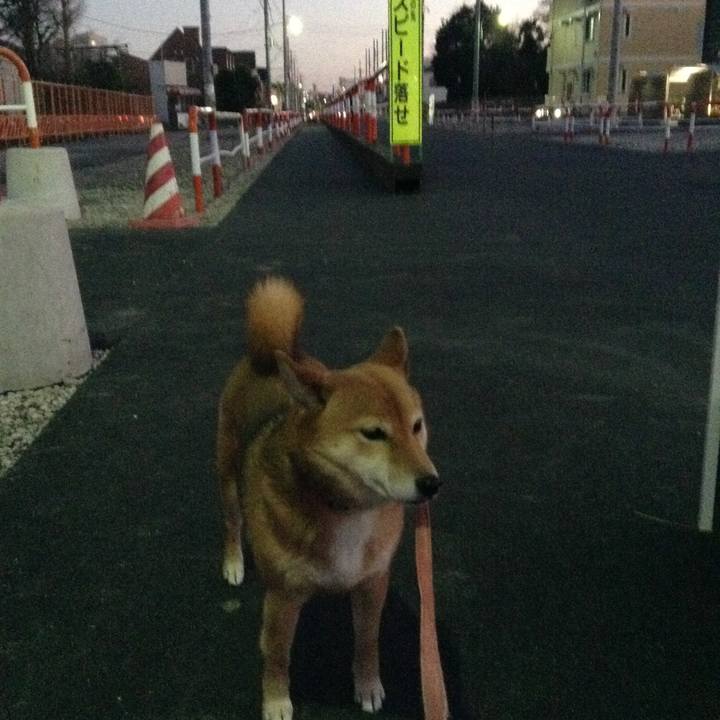 8481033d 1f9a 49f3 a8d8 85b44aa93b69