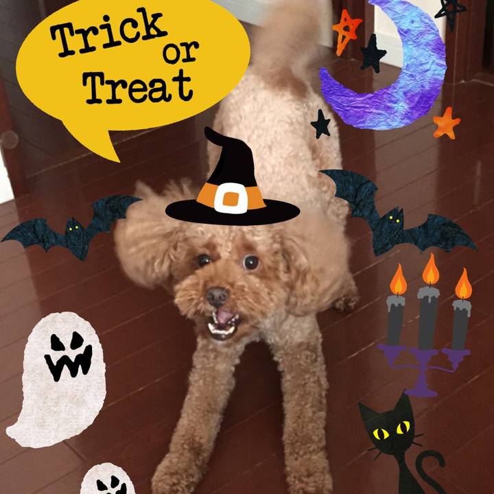 84812cc1 415c 40fd 84cf 6238c424bc58