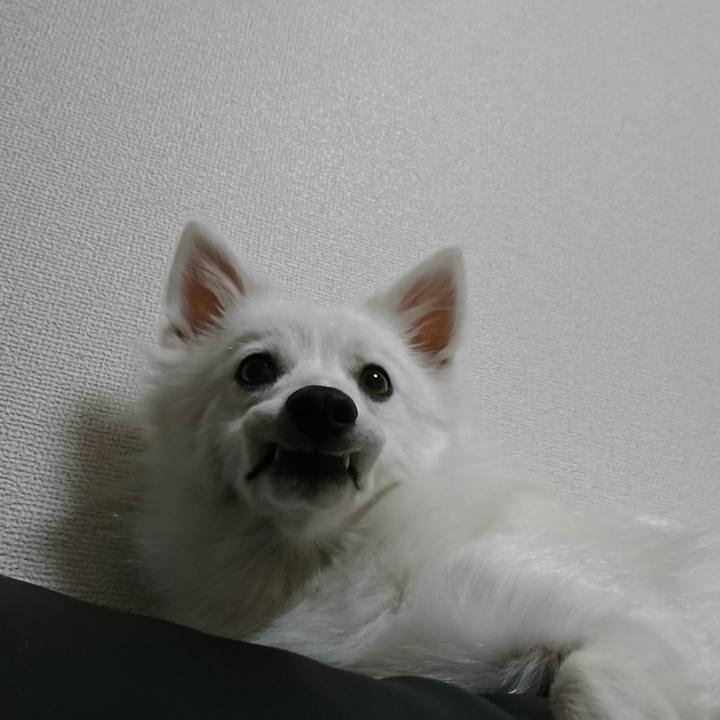 84813dbf 1616 4383 8d4b 572ae5aee201