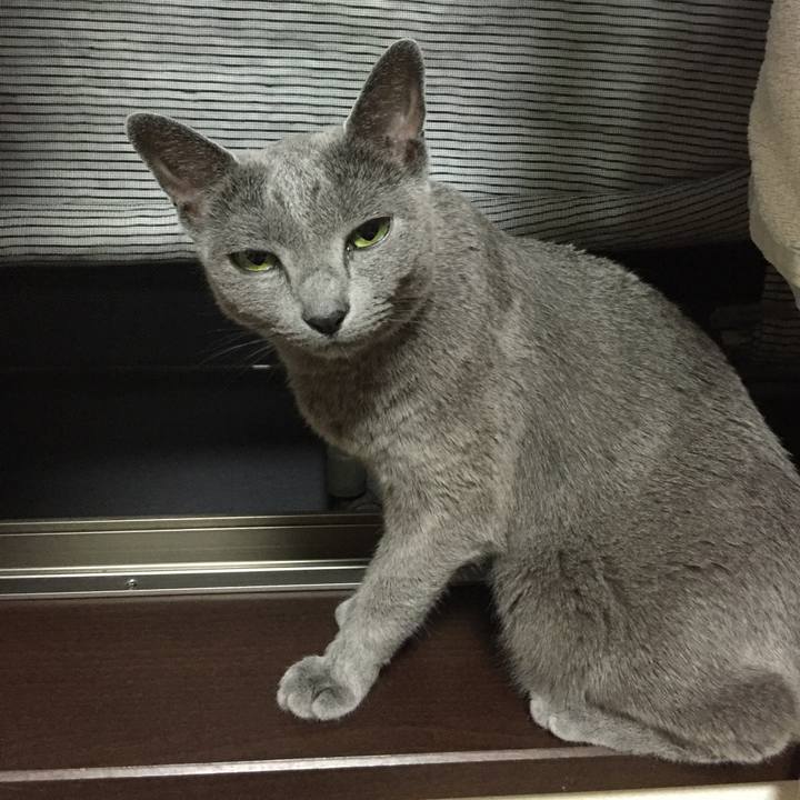 848155d5 83c4 44b6 a493 5c6358c54567