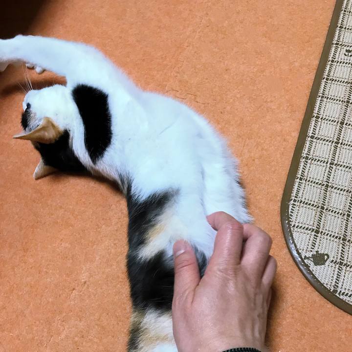 848164fe 1a8e 4a03 9fdd 68a70eb7b668